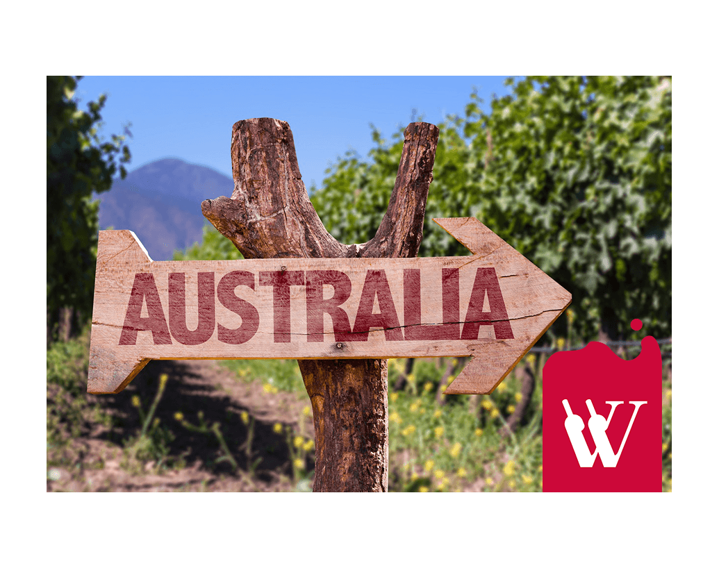 Wina z Australii – czy warto Wina z Australii – czy warto